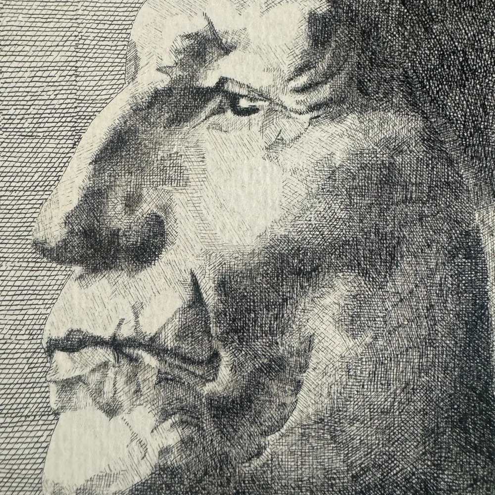 Hand drawn Native American Chief sketch by A.B. Rope . 10x13 - Picture 3 of 3